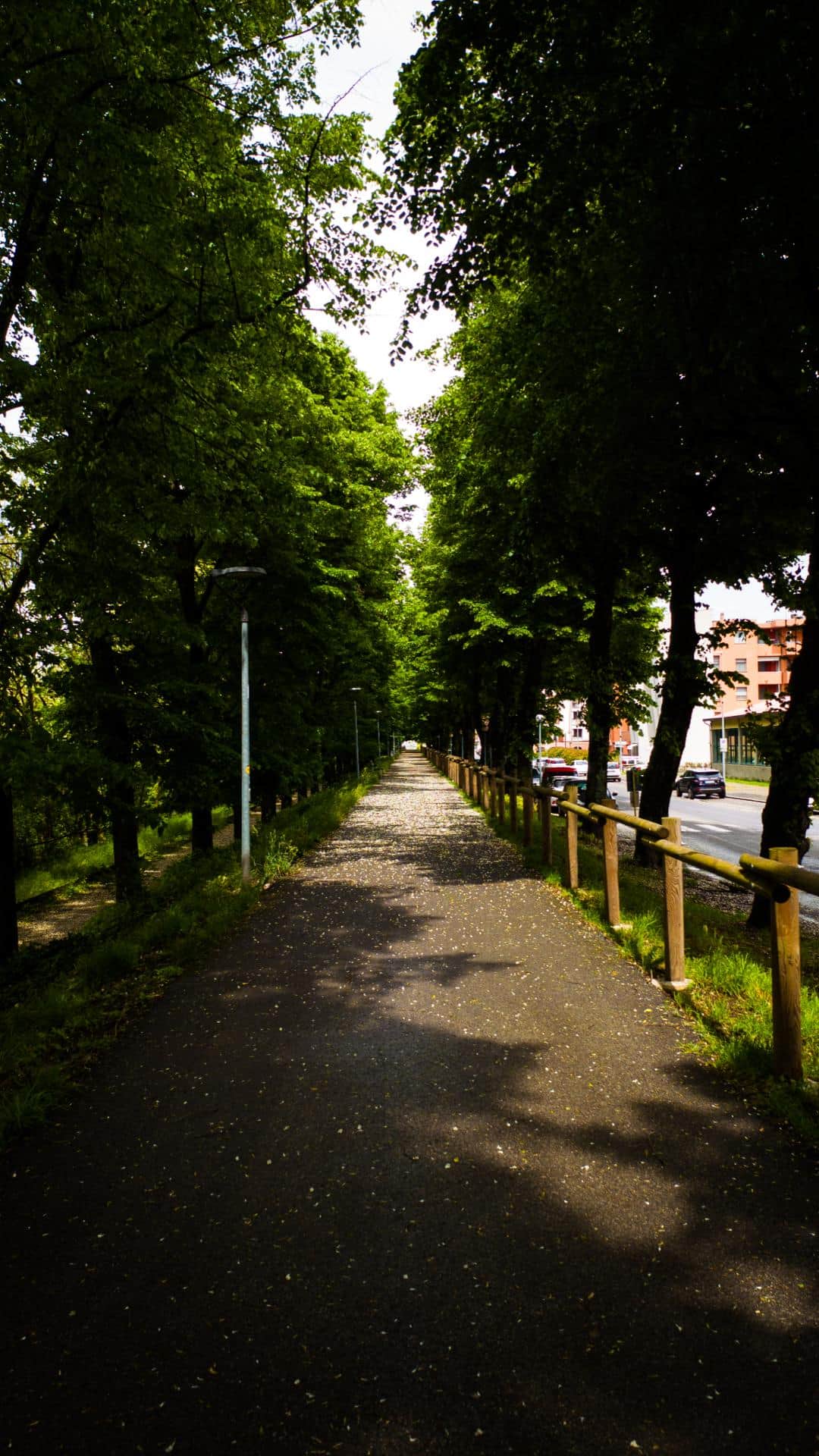 sfafa