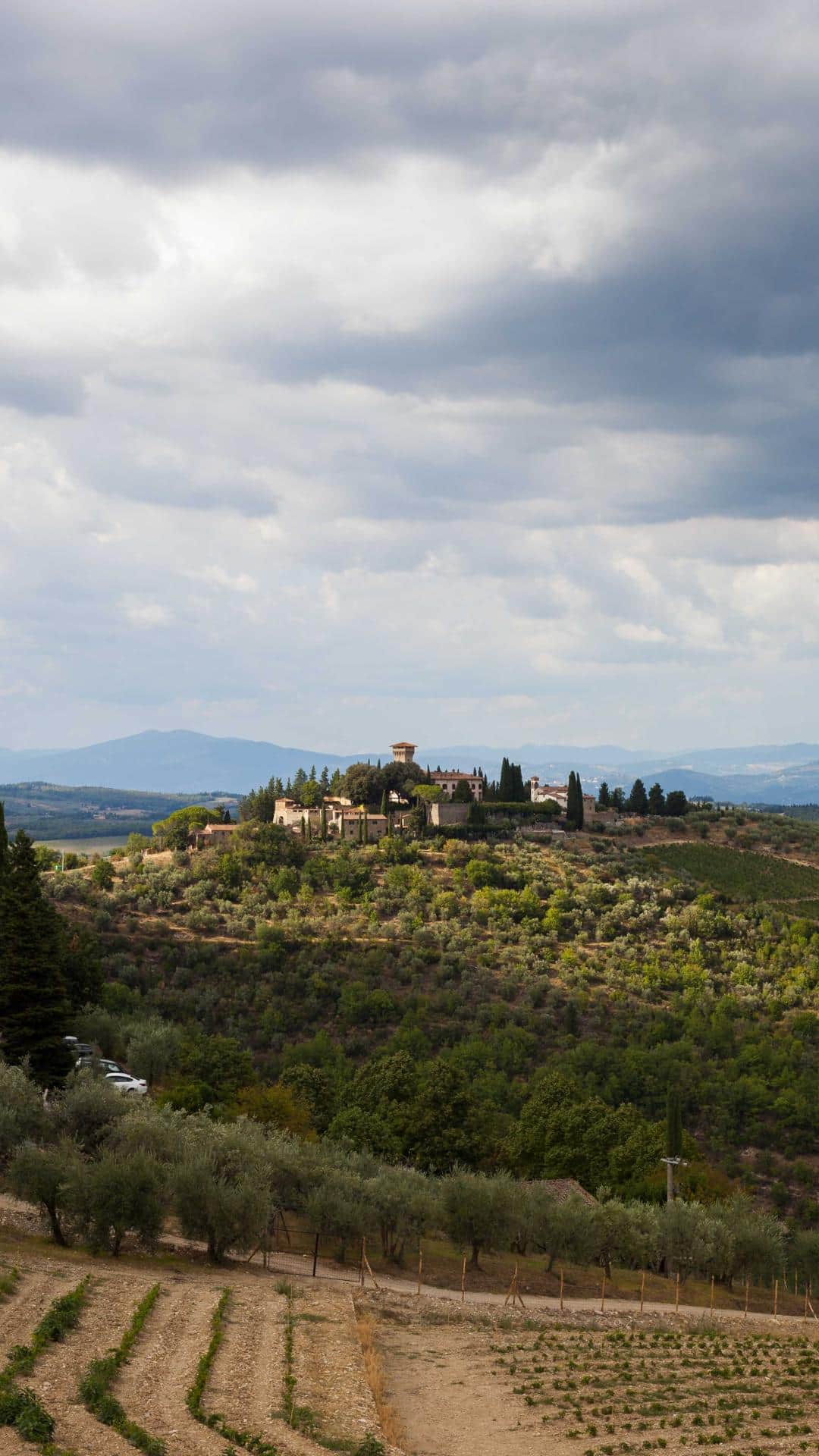 Castello di Vicchiomaggio (3)