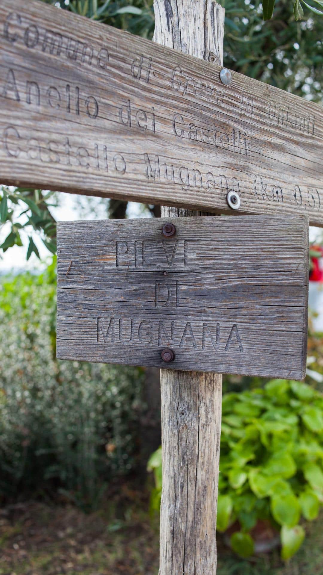 Pieve di San Donato a Mugnana (3)