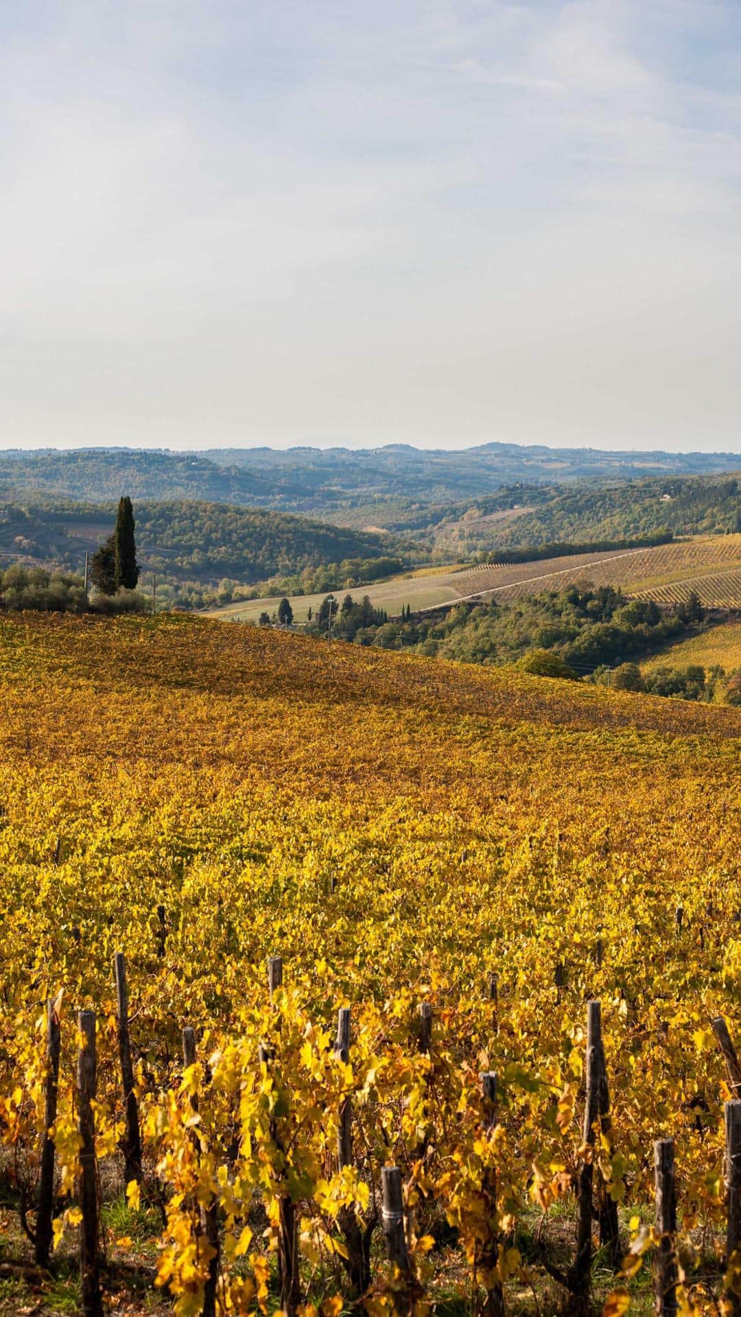 Panorama Conca d'oro