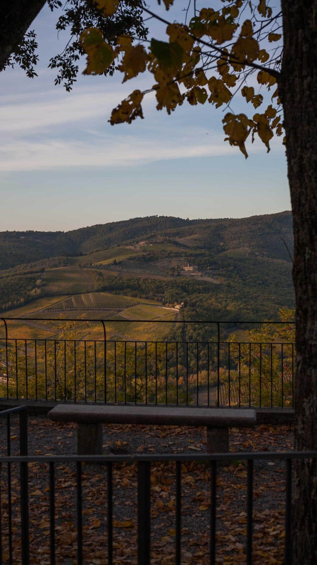 Panorama Radda in Chianti
