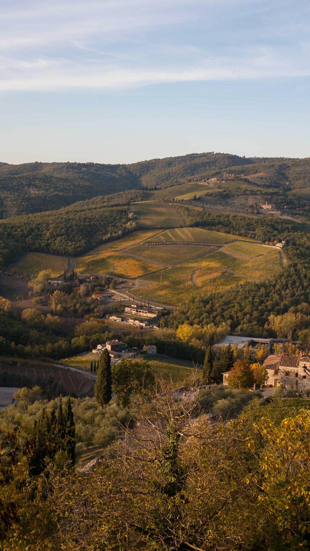 Panorama Radda in Chianti (2)
