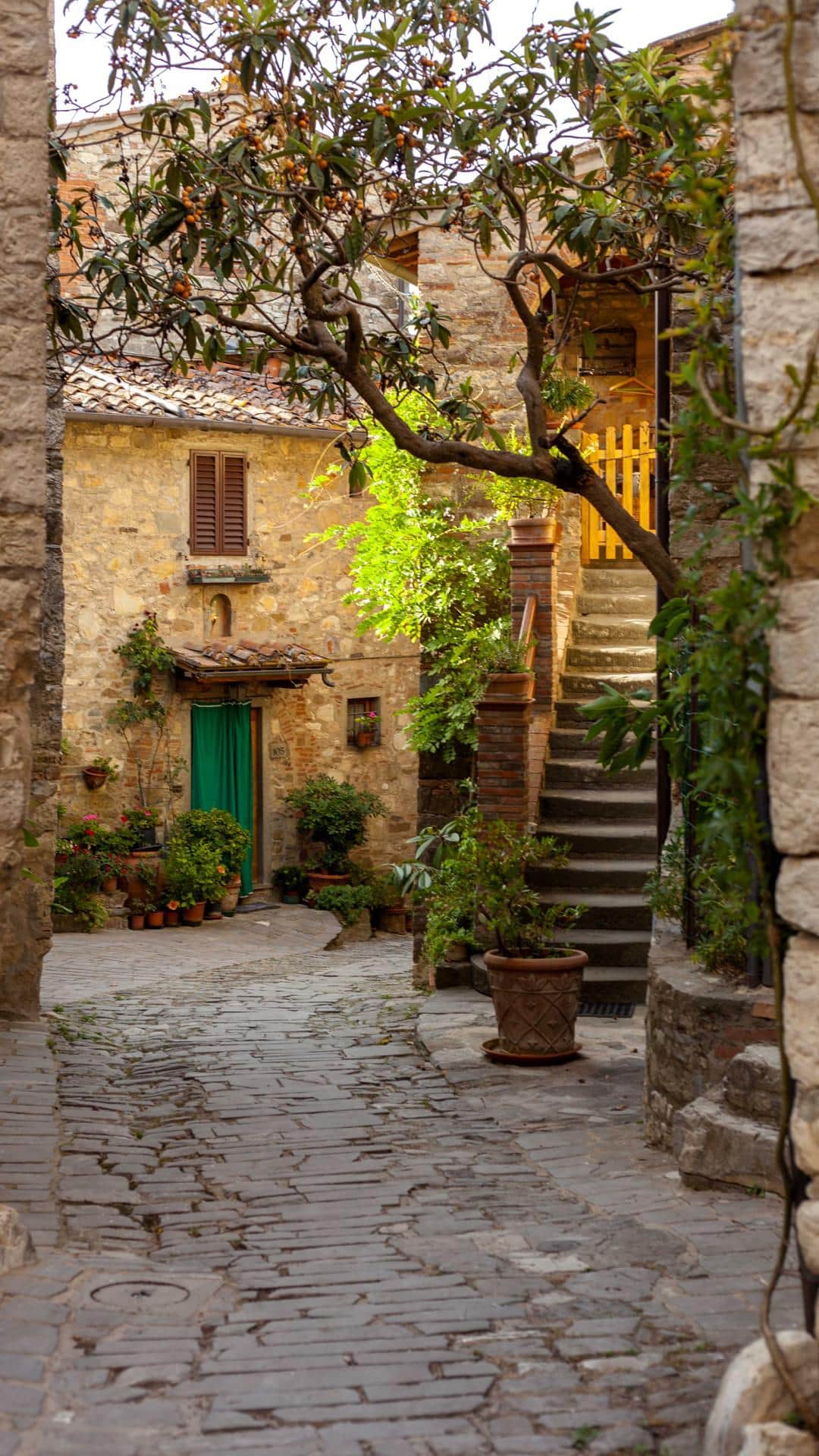 Montefioralle (2)