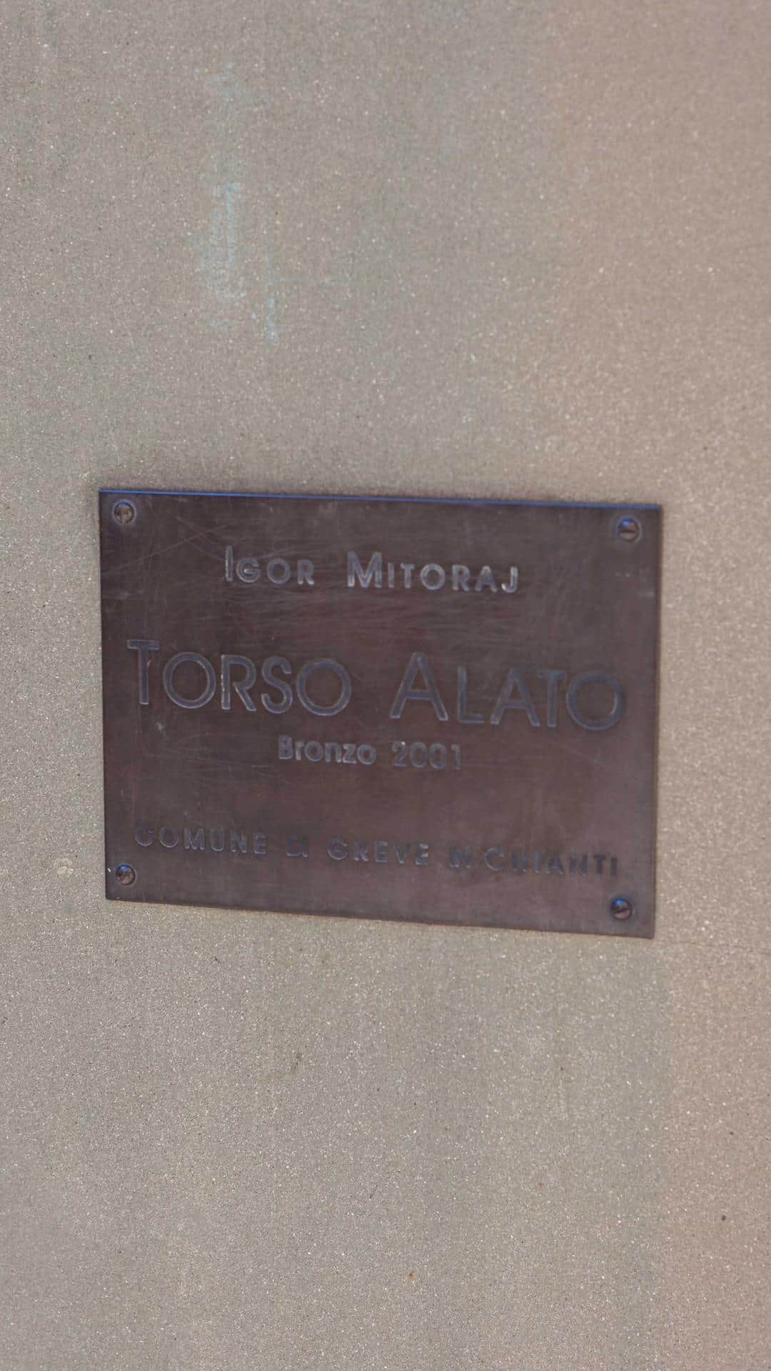 Torso alato (3)