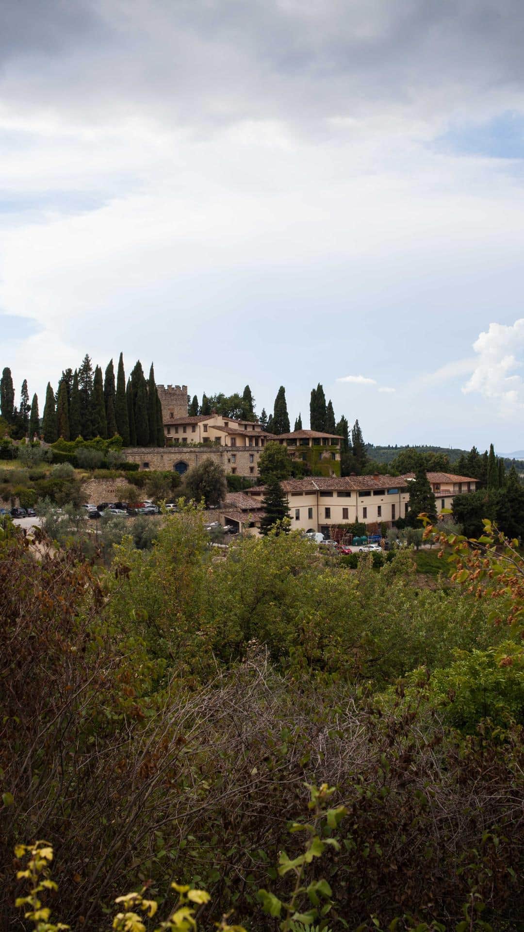  Castello di Verrazzano (3)