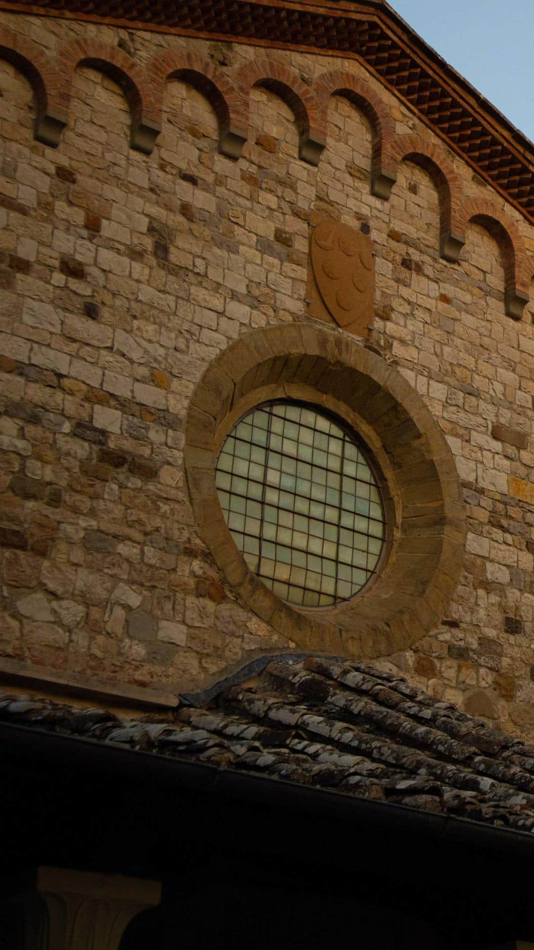 Bosco ai Frati (2)