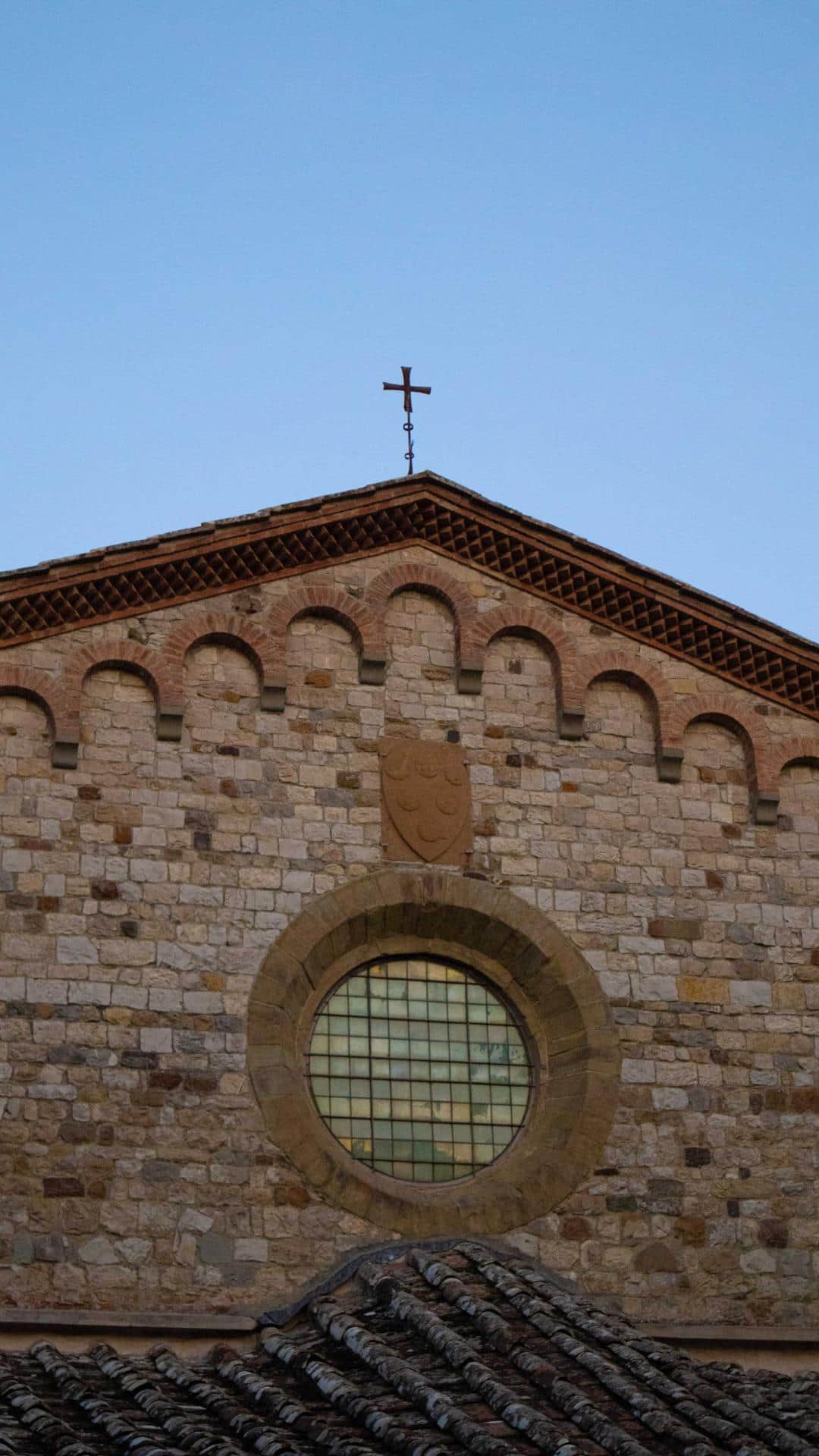 Bosco ai Frati (3)
