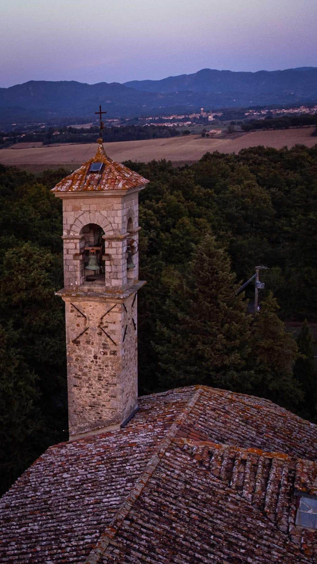 Bosco ai Frati (4)